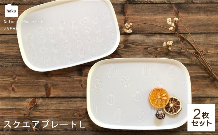 ラージスクエアプレート L ペアセット 2枚 キュウイ×シード【カネ一古林商店】